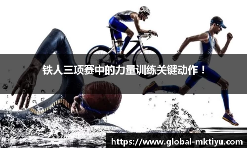 mk体育官方网站